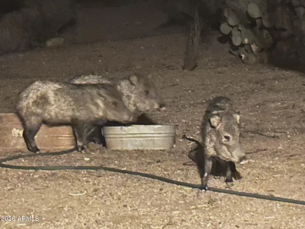 $900,000 | 7530 West Bucking Horse Road, Sahuarita, AZ 85629