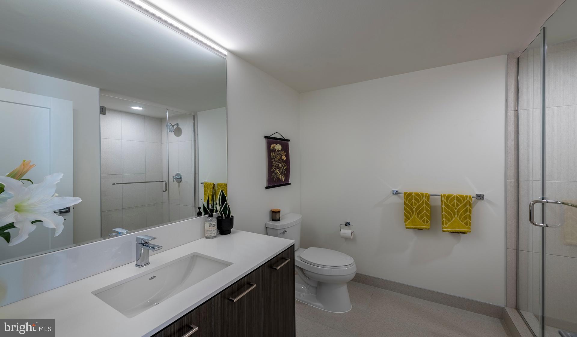 4710 Elm Street, Unit 2BW1004 Bethesda, MD 20814 - Photo 20 of 91