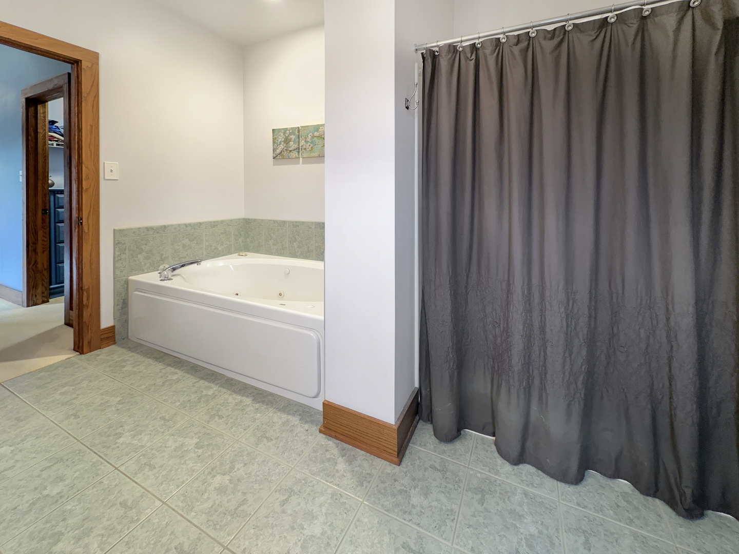 493 Aberdeen Drive Crete, IL 60417 - Photo 18 of 52 a bathroom with a bathtub and a shower