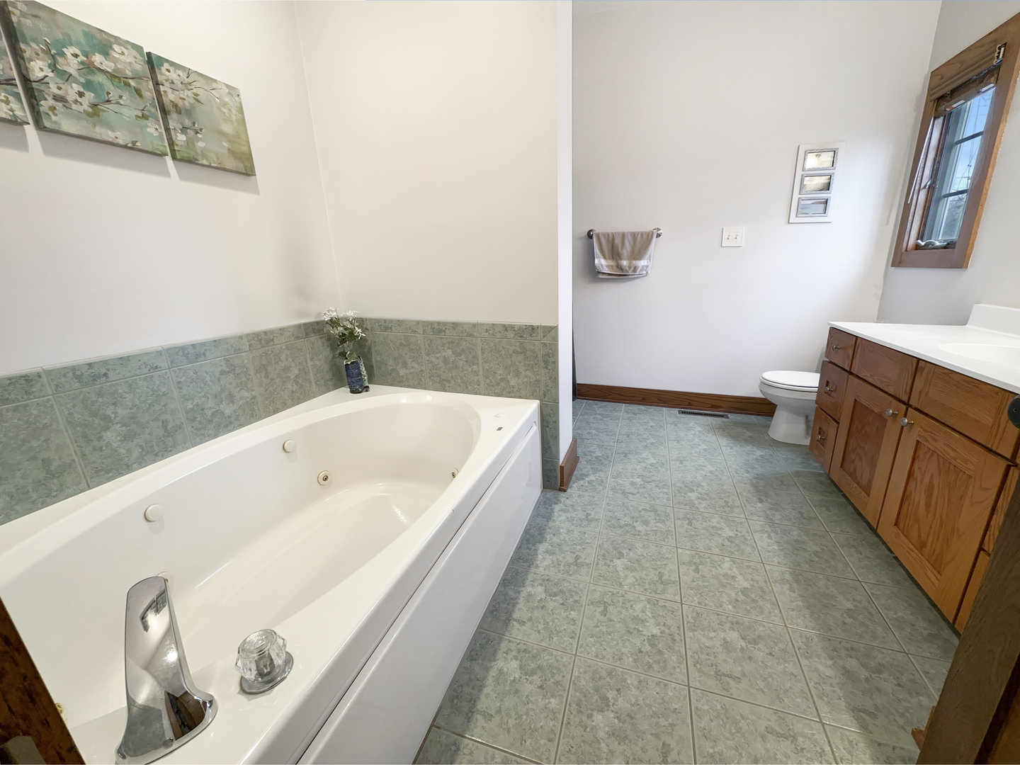 493 Aberdeen Drive Crete, IL 60417 - Photo 19 of 52 a bathroom with a bathtub and a sink