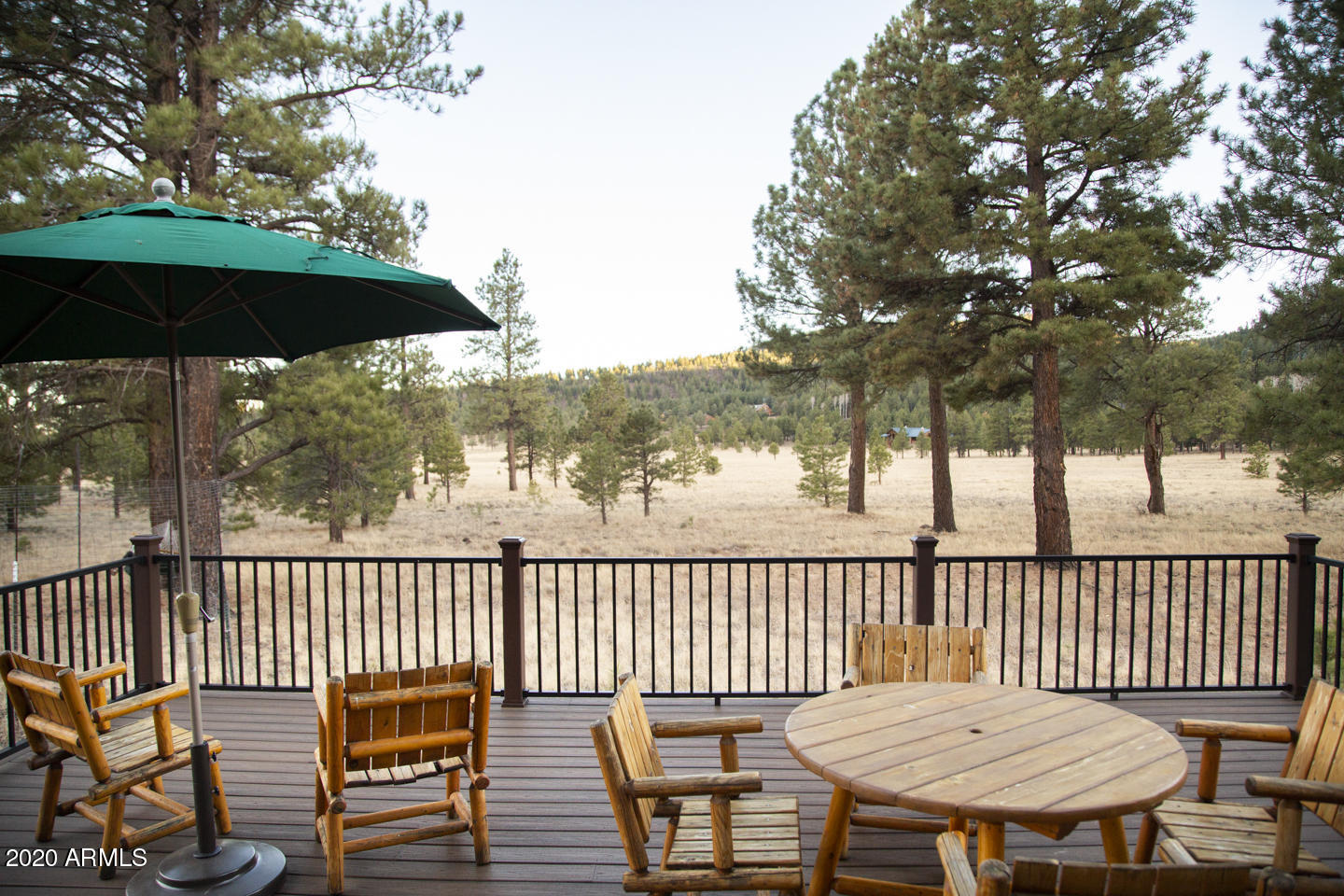 620 County Road, Unit 1325 Greer, AZ 85927 - Photo 58 of 66 Blue Moon Back Deck