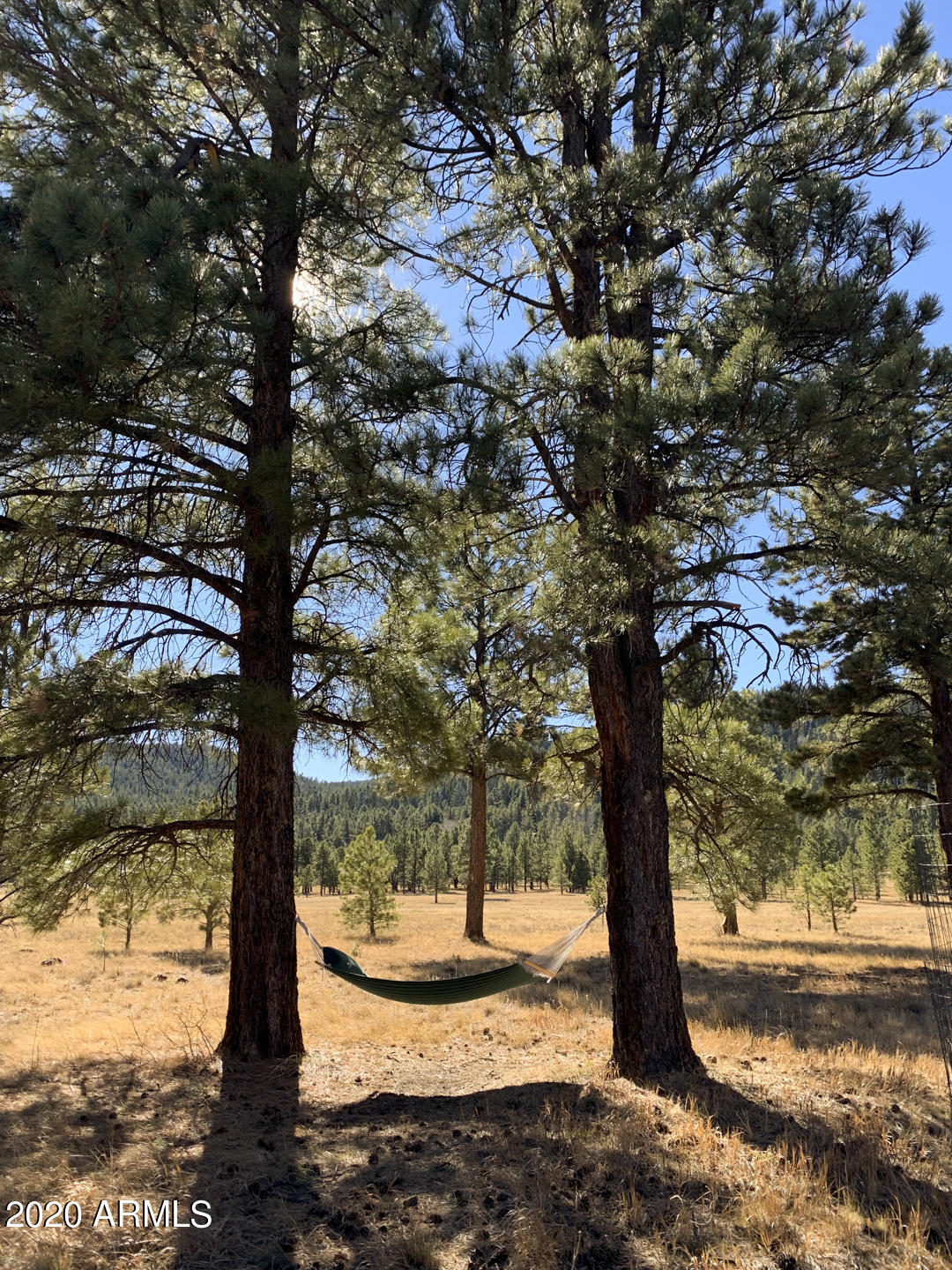 620 County Road, Unit 1325 Greer, AZ 85927 - Photo 66 of 66 Hamok