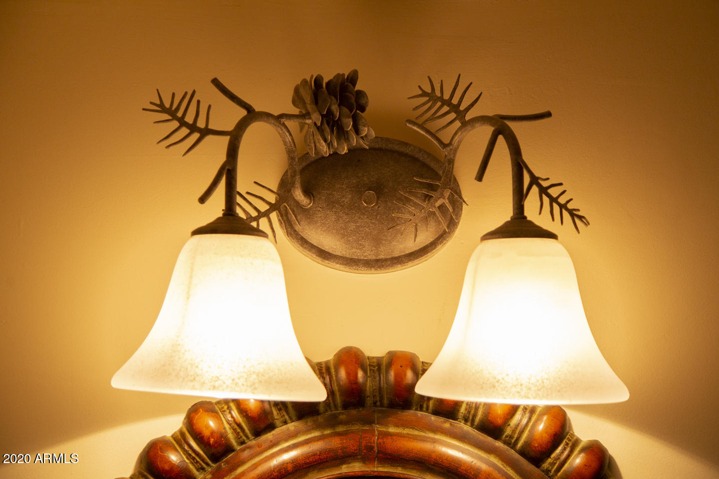 620 County Road, Unit 1325 Greer, AZ 85927 - Photo 9 of 66 1/2 Bath Lights