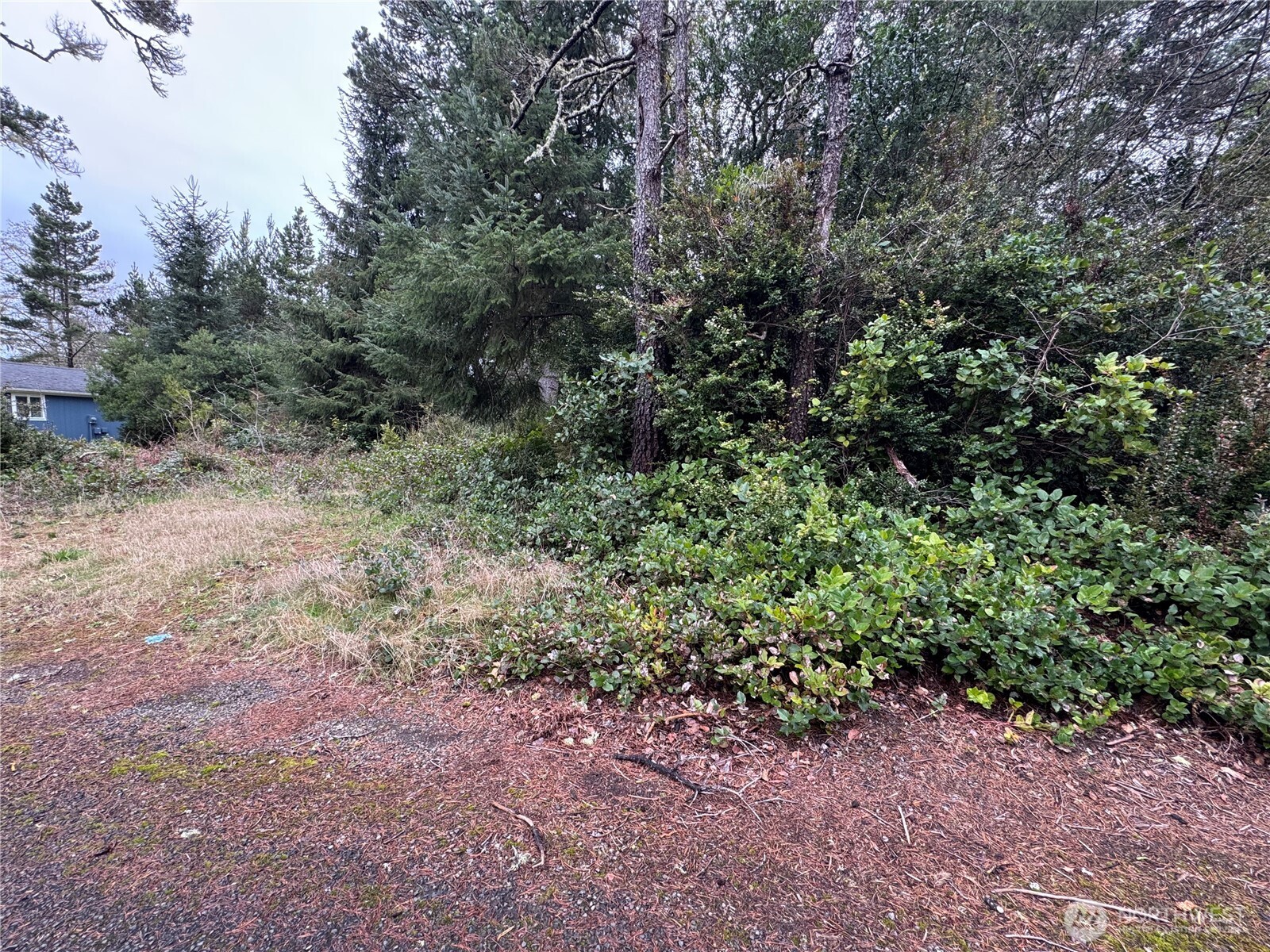 0 R Street Ocean Park, WA 98640 - Photo 1 of 3 Gallery Image 1