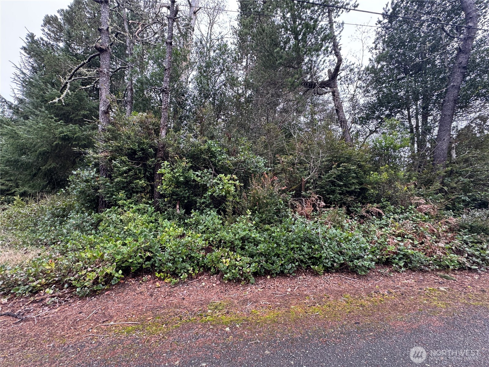 0 R Street Ocean Park, WA 98640 - Photo 2 of 3 Gallery Image 2