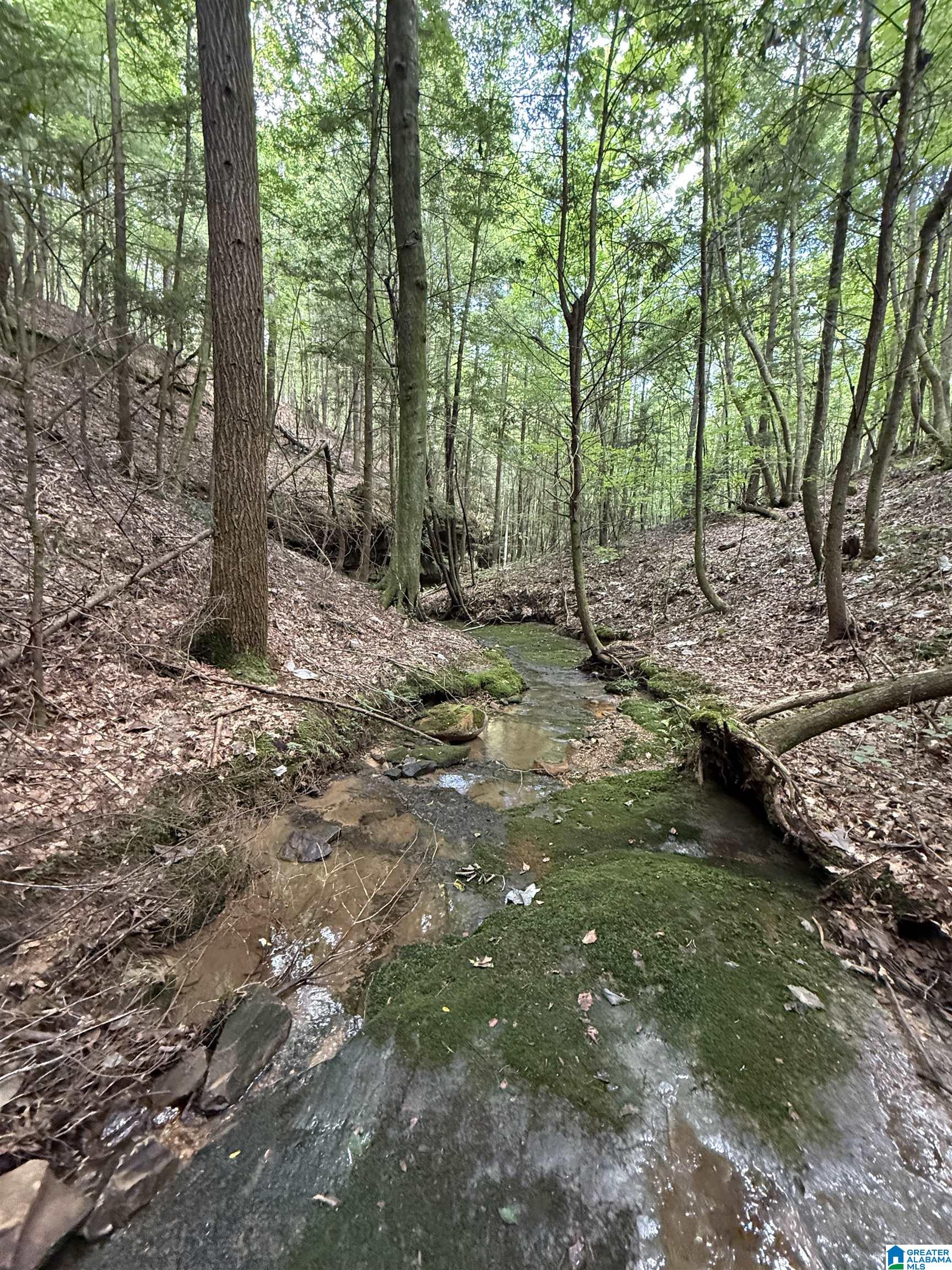 2 County Road 2, Unit 50 / ACRES Double Springs, AL 35553 - Photo 30 of 79