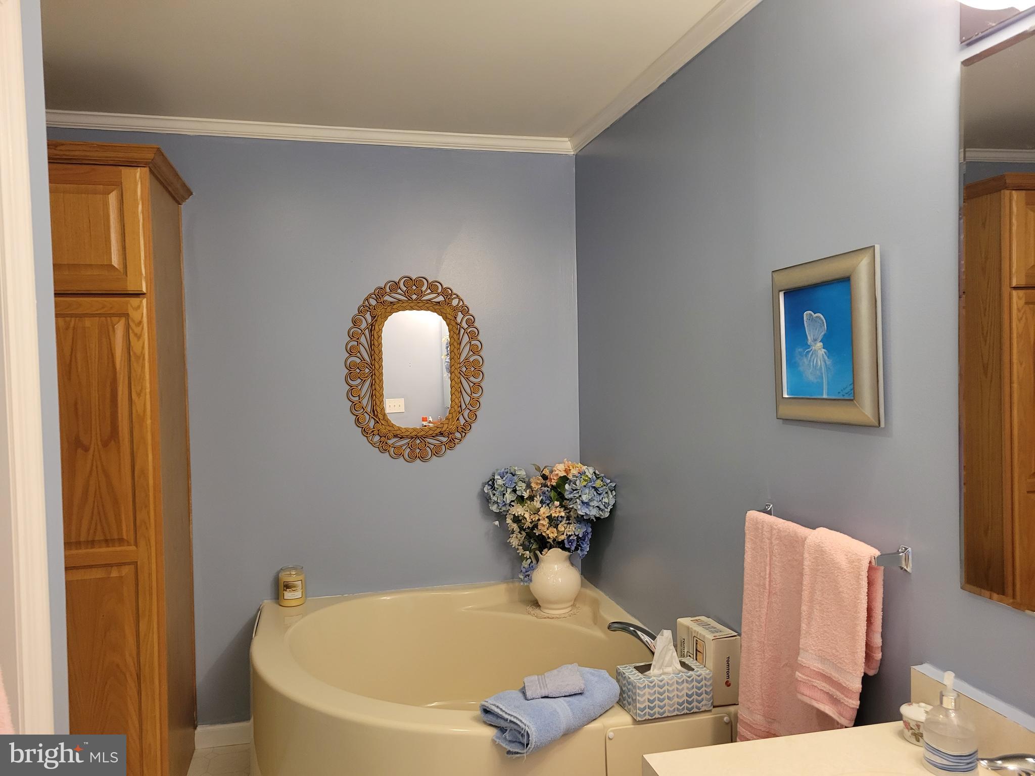 8 Platinum Drive Dover, DE 19901 - Photo 24 of 31