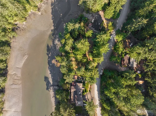 a picture of flowers