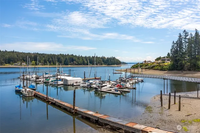 a view of swimming pool with a table and chairs