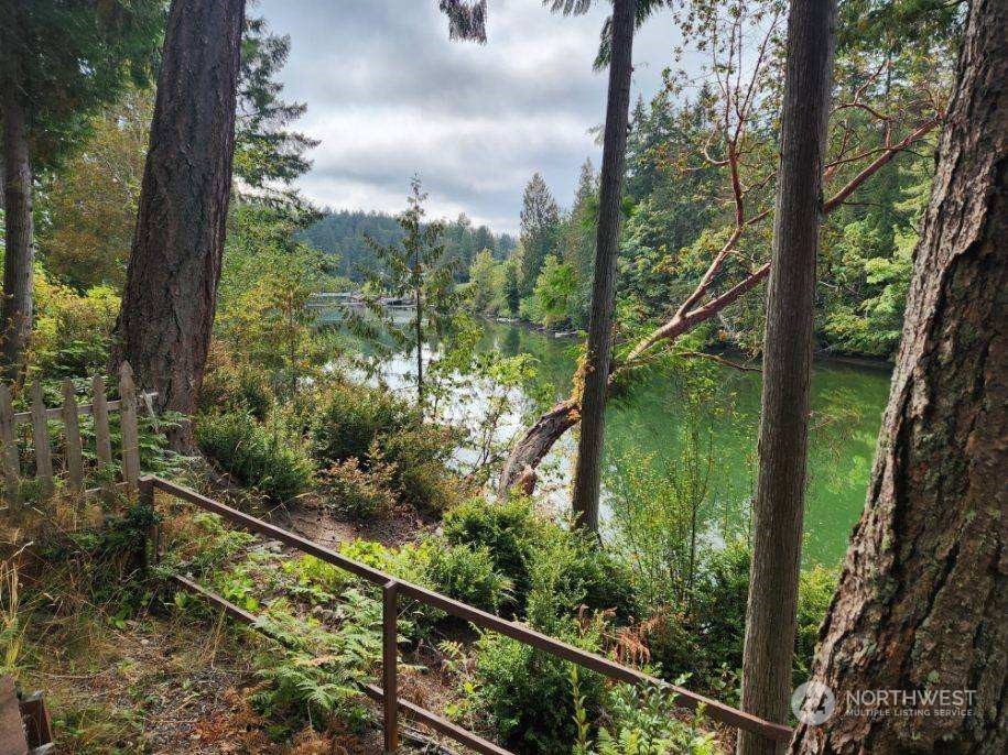 5006 165th Avenue Southwest Longbranch, WA 98351 - Photo 6 of 11 a view of a forest from a balcony