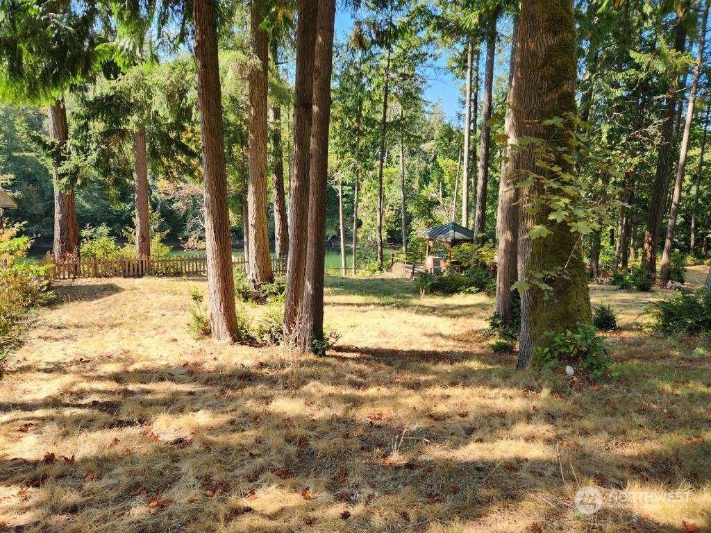 5006 165th Avenue Southwest Longbranch, WA 98351 - Photo 7 of 11 a view of yard with trees