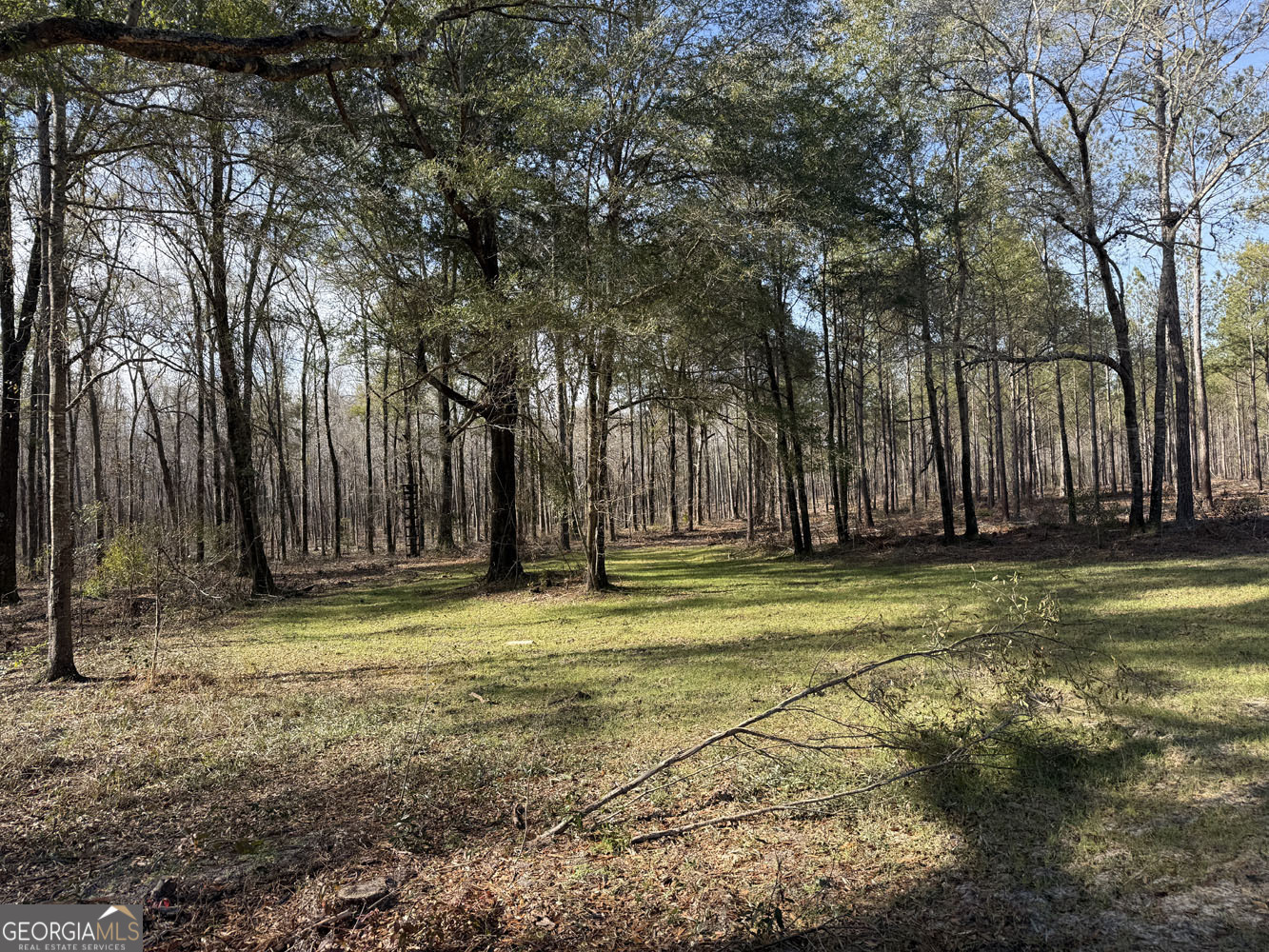 Truslow South Durham Mill Road Jeffersonville, GA 31044 - Photo 9 of 49 a view of a yard with large trees