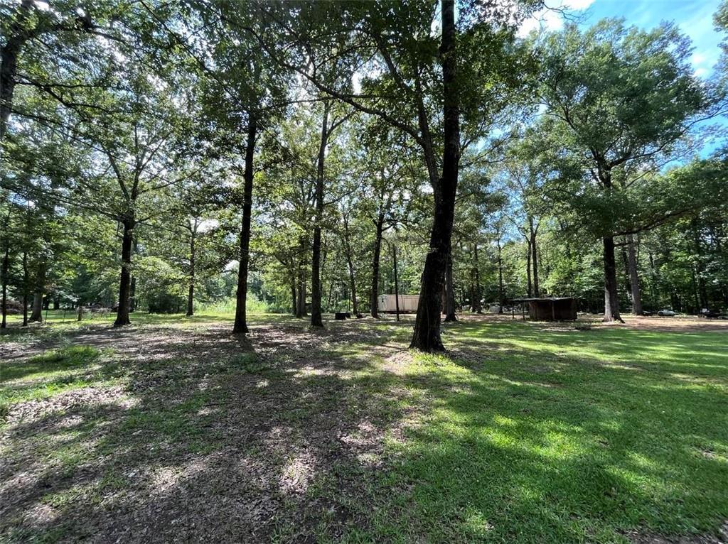 32 Hooper Road Deville, LA 71328 - Photo 3 of 9