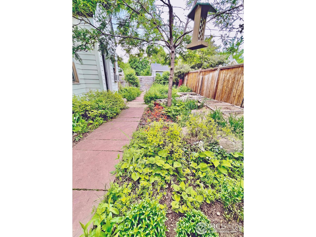 644 Dewey Avenue Boulder, CO 80304 - Photo 34 of 39 a view of a garden with plants