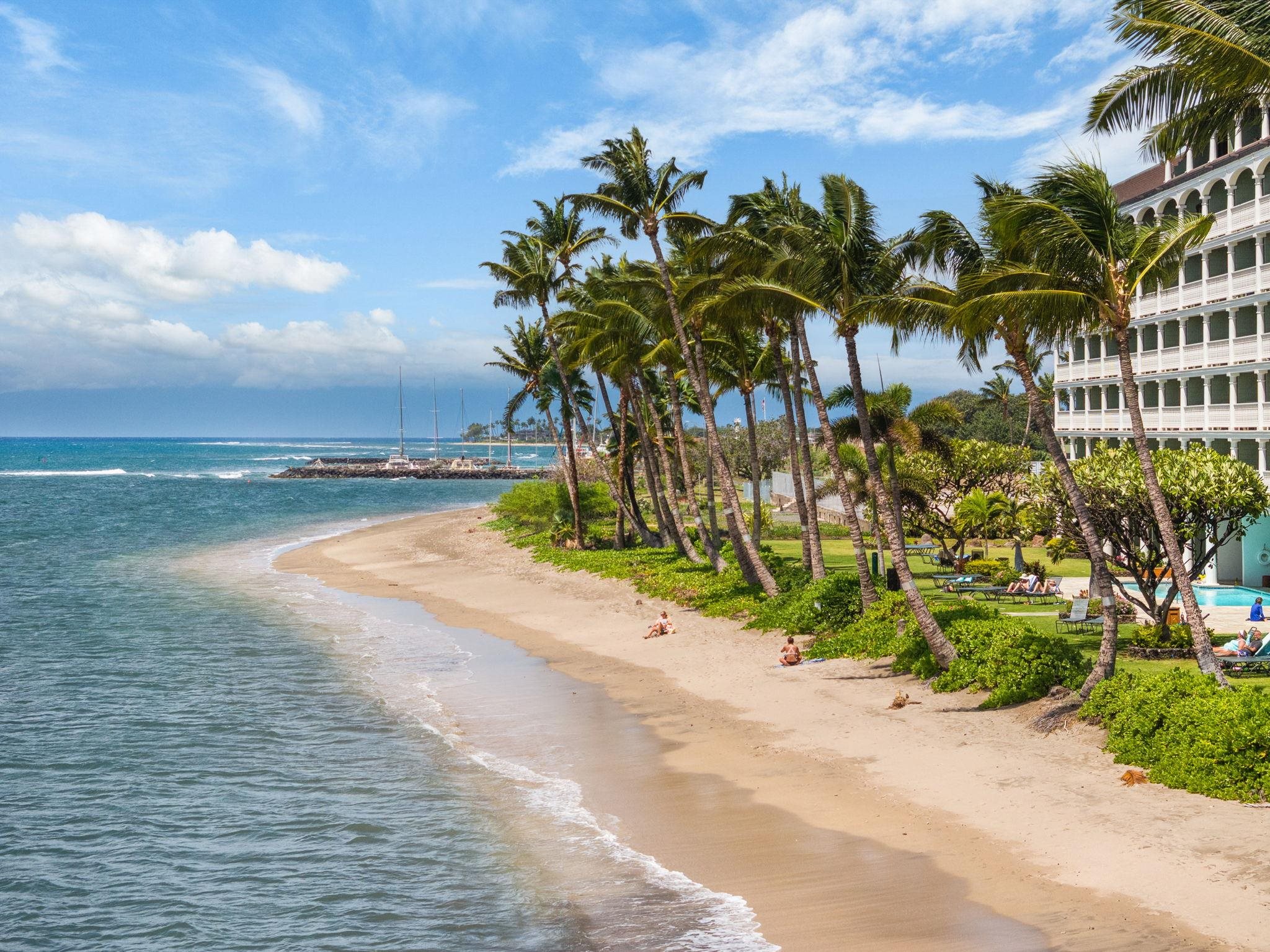 475 Front Street, Unit 402 Lahaina, HI 96761 - Photo 27 of 34 a view of a beach with a palm tree