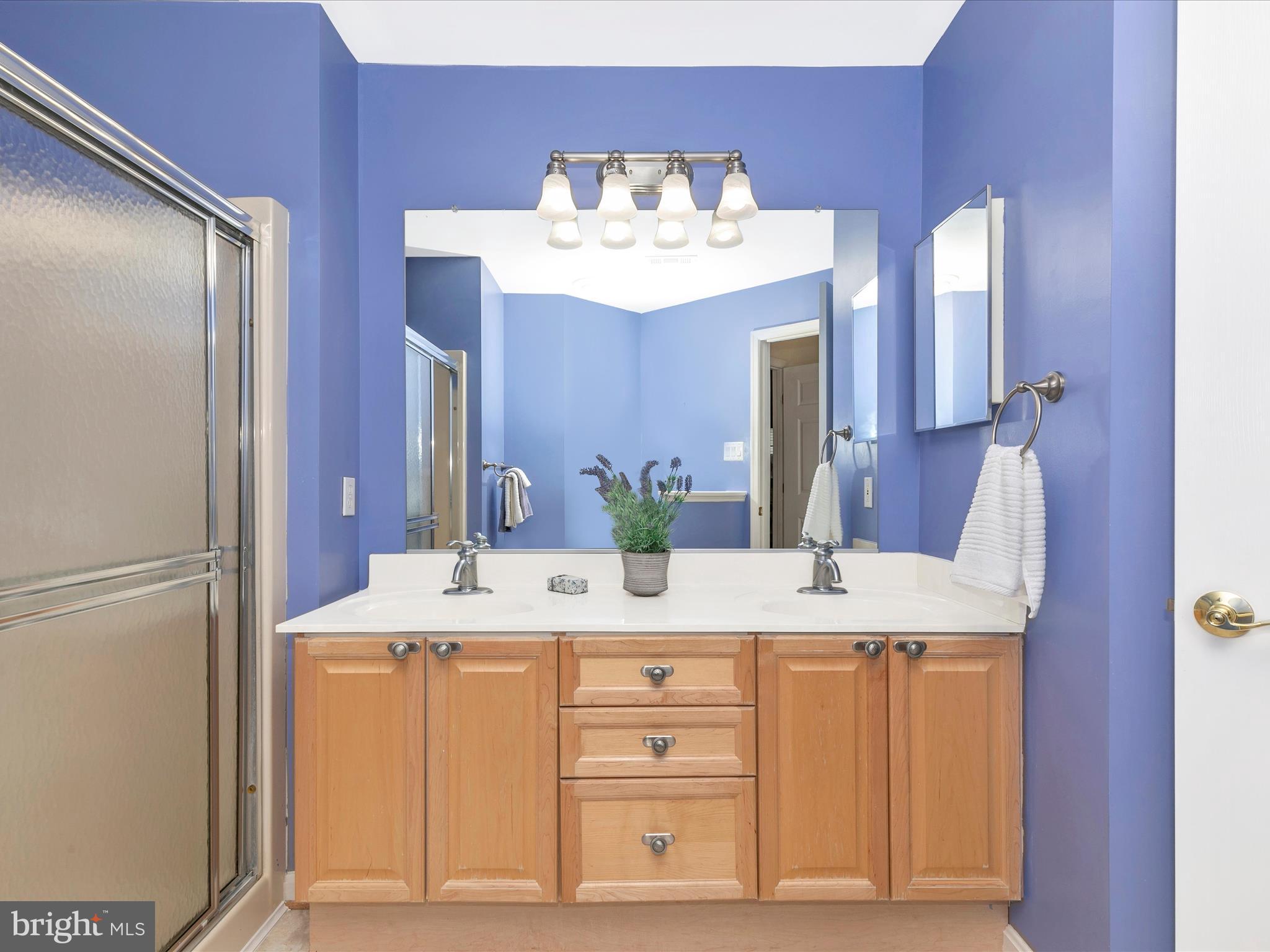 2502 Shelley Circle, Unit 2 2D Frederick, MD 21702 - Photo 26 of 36 Primary Bath