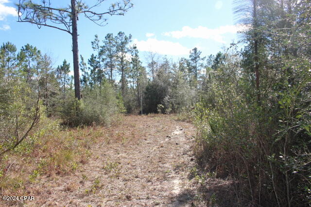 5015 Northwest County Road 274 Altha, FL 32421 - Photo 11 of 15