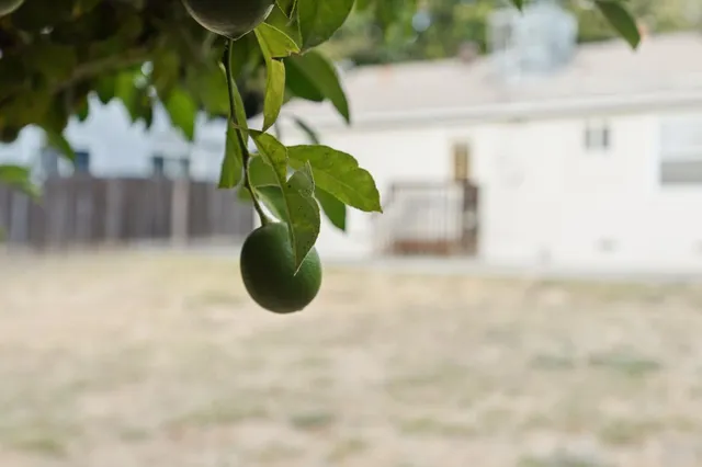 a glass vase with flowers in it