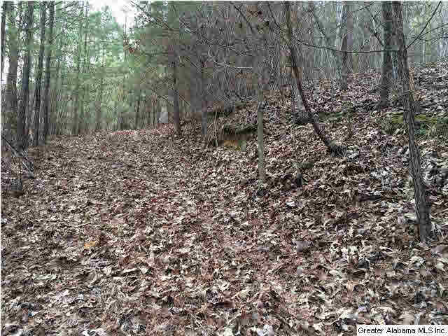 734 Valley Grove Road, Unit 15 4 ACR Remlap, AL 35133 - Photo 6 of 32