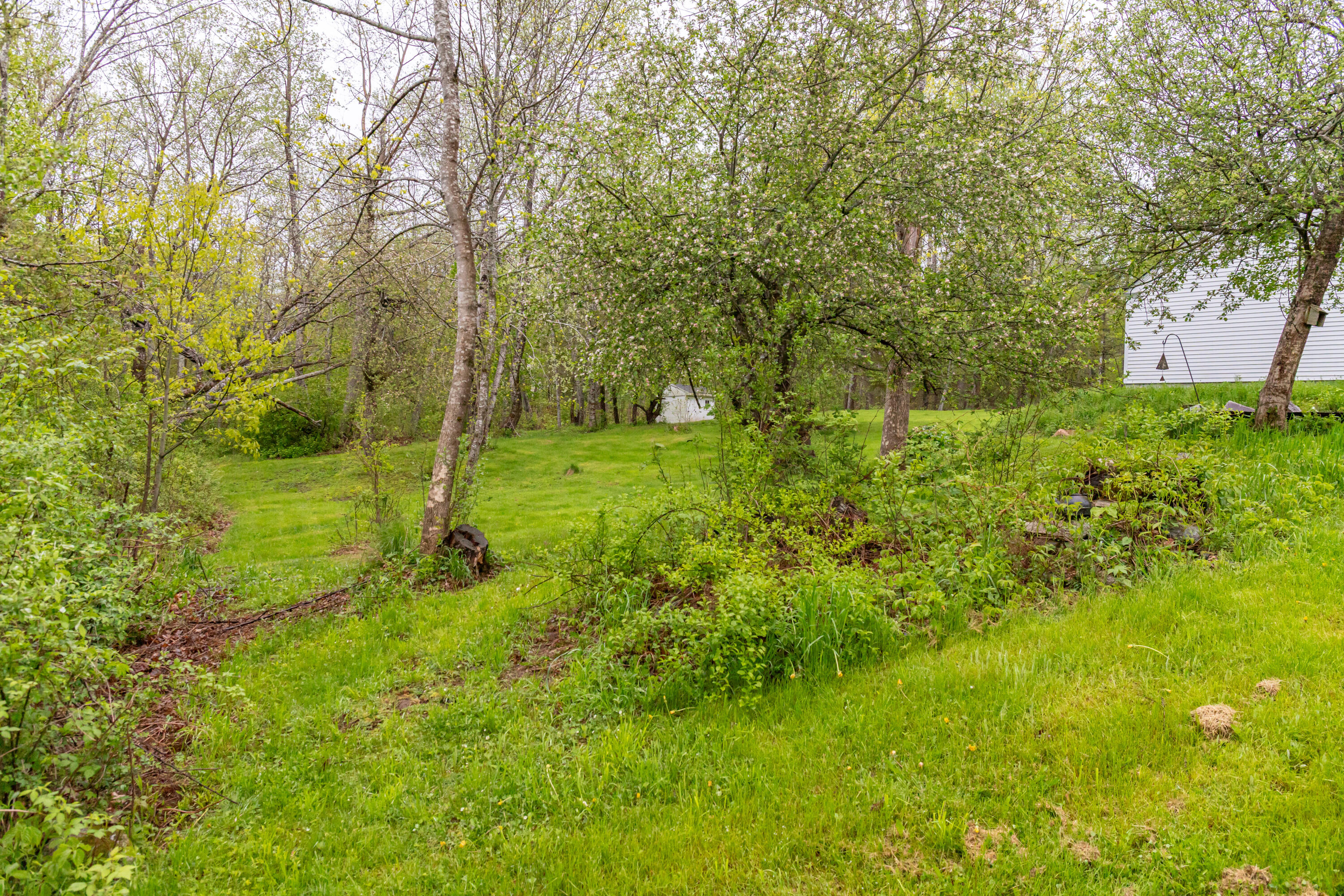 85 Bowden Point Road Prospect, ME 04981 - Photo 10 of 76 IMG_0370