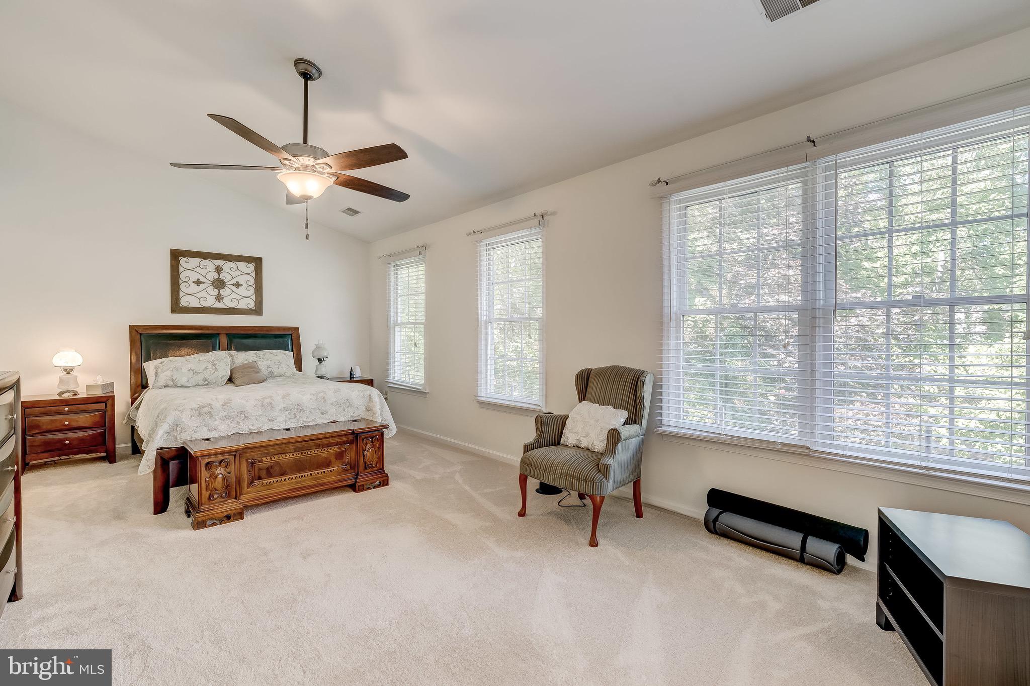1507 Rochester Court Crofton, MD 21114 - Photo 37 of 55 Master Bedroom/ Ceiling Fan/ Natural Light