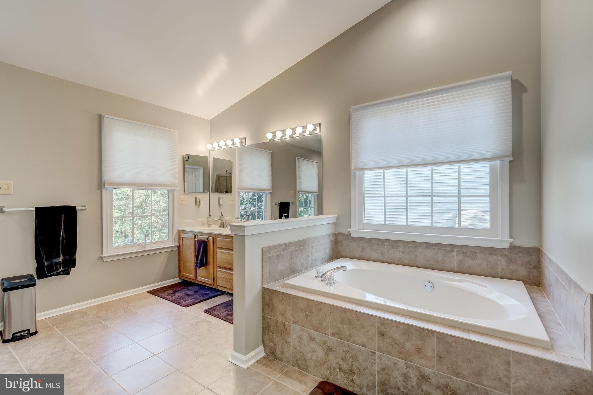 1507 Rochester Court Crofton, MD 21114 - Photo 39 of 55 Master Bathroom w/ Soaking Tub