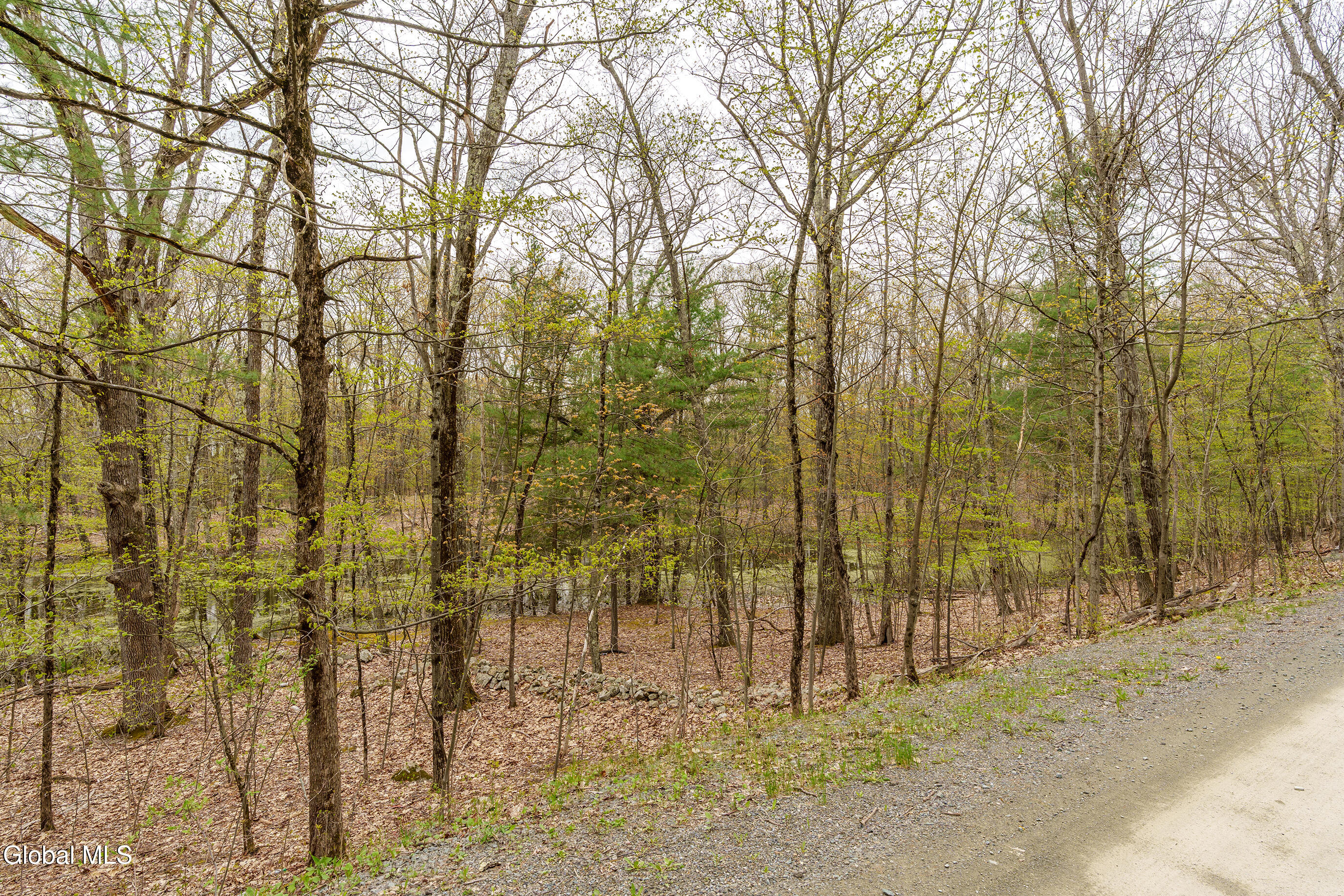 83 Maschodack Road Nassau, NY 12123 - Photo 7 of 26 002-Mashodack-Rd-Nassau-NY-12123