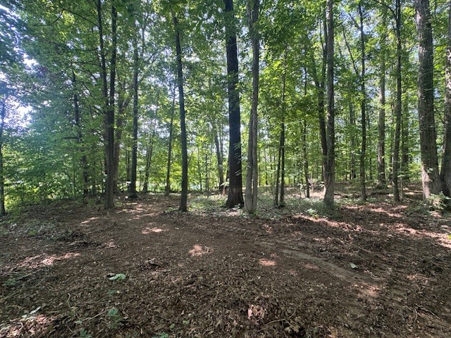 7104 Hall Road Fairview, TN 37062 - Photo 11 of 28 Gallery Image 11