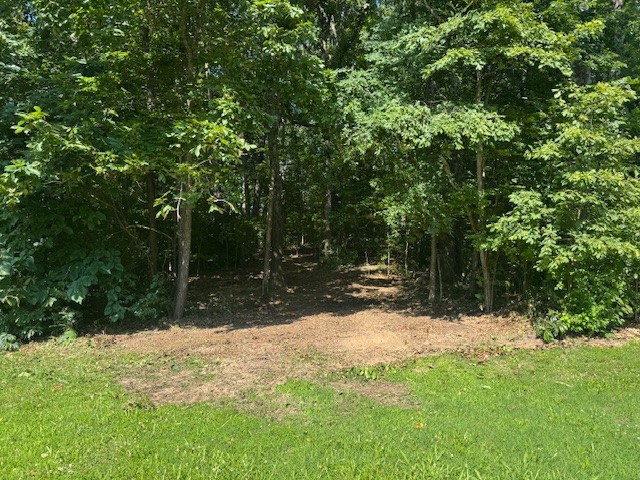 7104 Hall Road Fairview, TN 37062 - Photo 25 of 28 Gallery Image 25