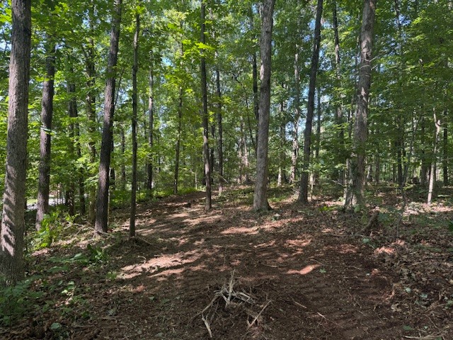 7104 Hall Road Fairview, TN 37062 - Photo 3 of 28 Gallery Image 3