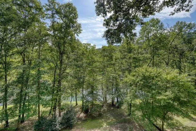 $1,800,000 | 296 Caddis Trail, Hayesville, NC 28904