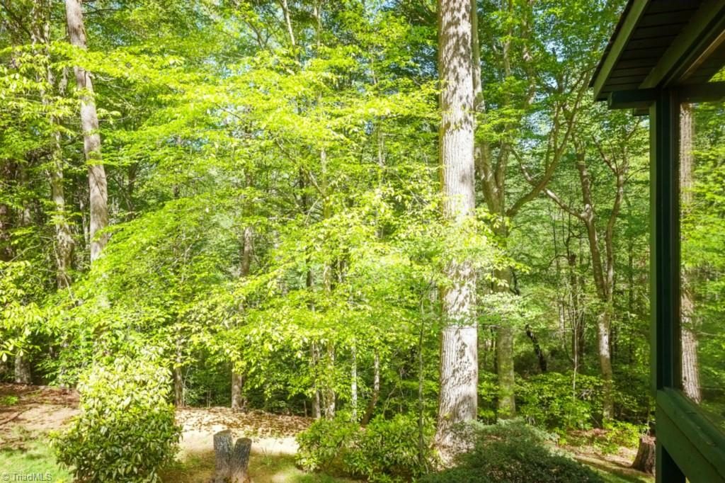 6523 Zack Road Oak Ridge, NC 27310 - Photo 28 of 30