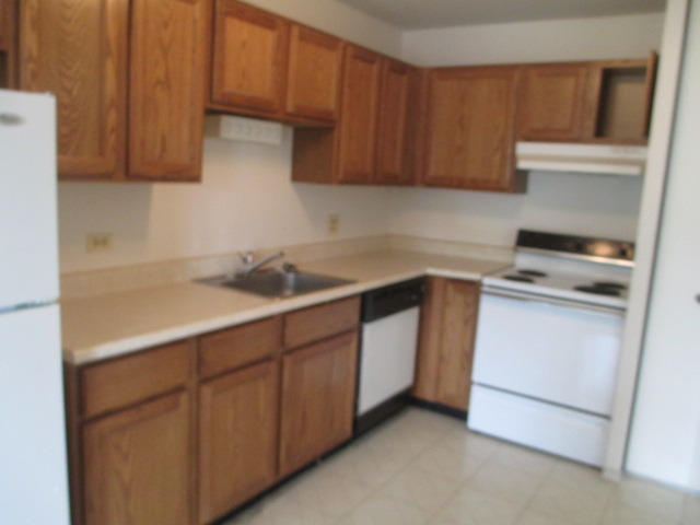 918 Ridge Square, Unit 205 Elk Grove Village, IL 60007 - Photo 5 of 7 a kitchen with a sink and cabinets