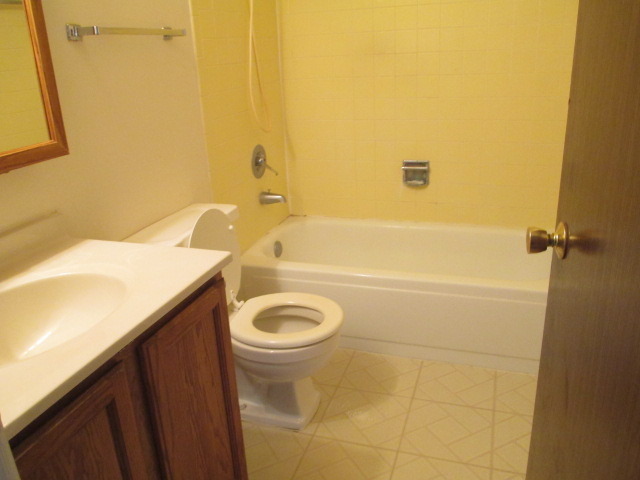 918 Ridge Square, Unit 205 Elk Grove Village, IL 60007 - Photo 7 of 7 a bathroom with a sink a toilet and shower