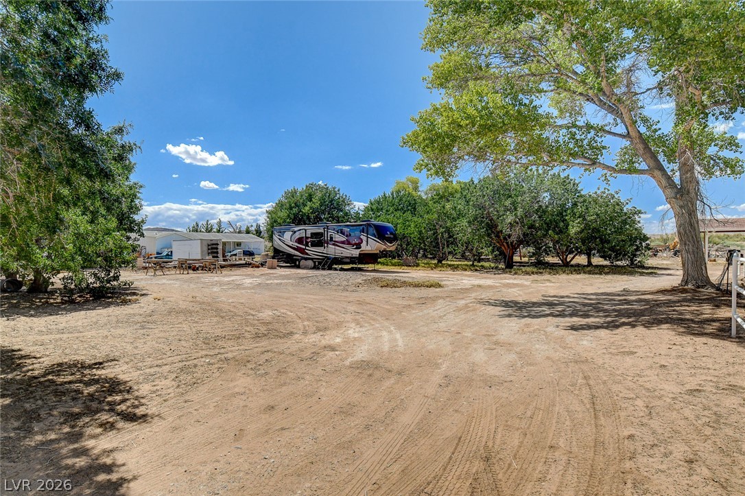1950 Bowman Road Logandale, NV 89021 - Photo 55 of 81 A spacious, unpaved lot offers ample room for vehicles and outdoor activities amidst mature trees.