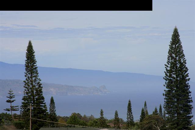 11 Maha Road, Unit 11 Makawao, HI 96768 - Photo 11 of 20 a view of a city
