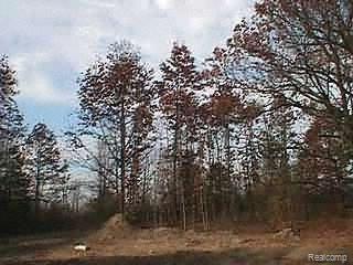 1 Rd Fentoncity Livingston Mi 48430 Road Fenton, MI 48430 - Photo 1 of 1 Listing Image