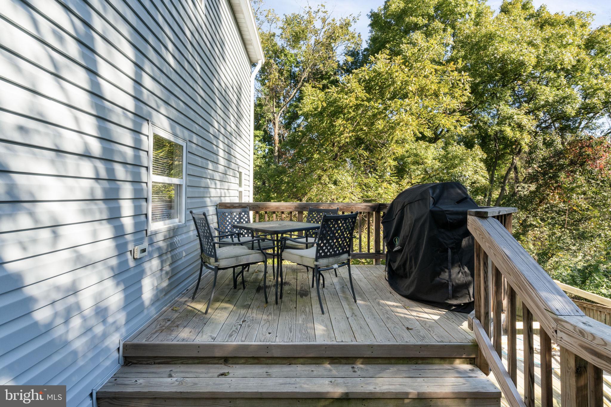 4301 Pleasant Valley Road Chantilly, VA 20151 - Photo 25 of 28 2 level deck space