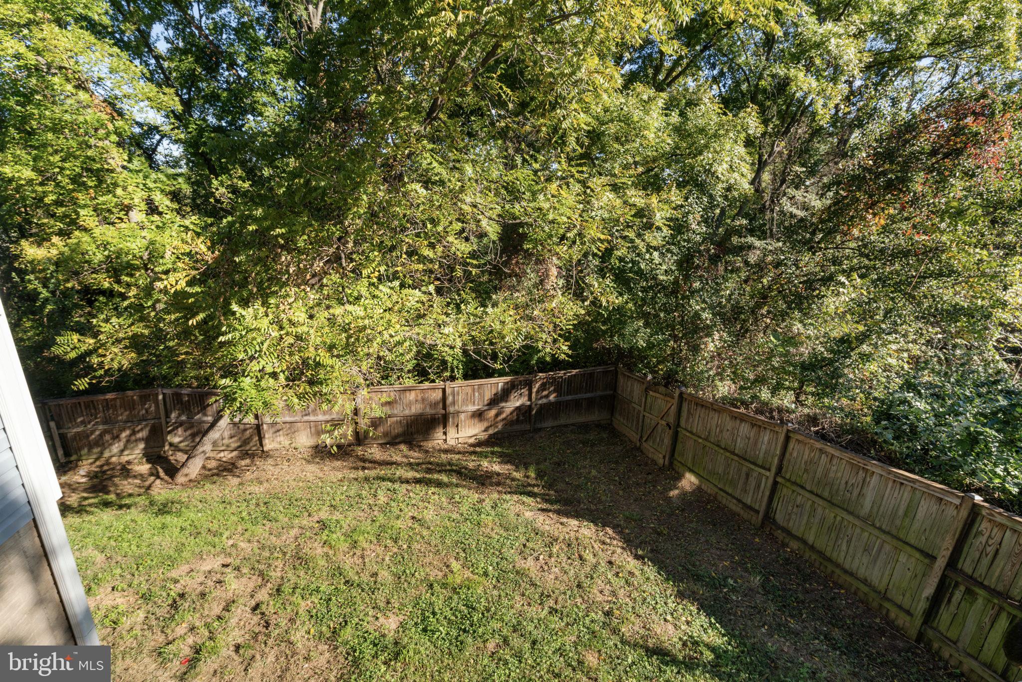 4301 Pleasant Valley Road Chantilly, VA 20151 - Photo 27 of 28 Plenty of yard space