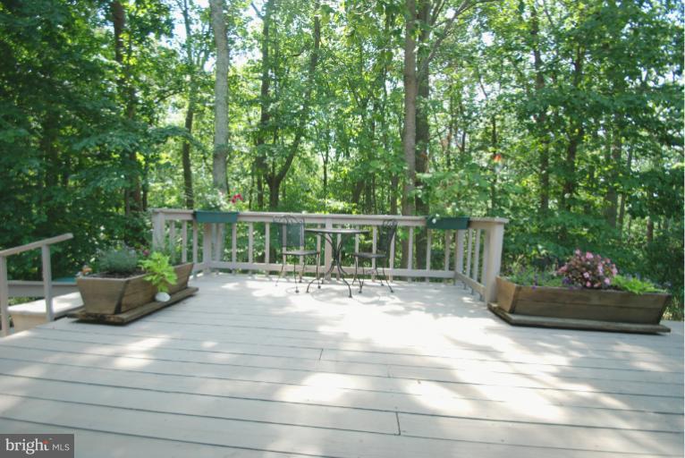 972 Riversedge Circle Annapolis, MD 21401 - Photo 12 of 19 Exterior (Rear)