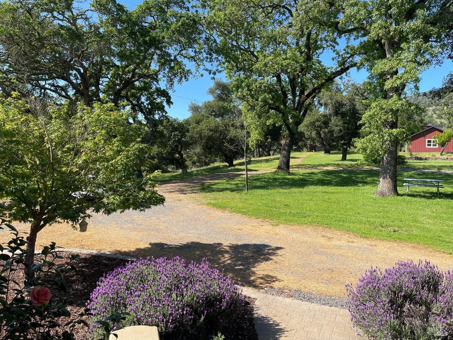 a view of a golf course with a lake view