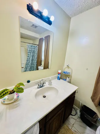 a bathroom with a sink mirror and vanity