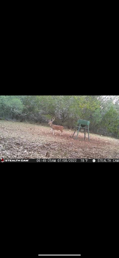 695 Big Shades Road Concan, TX 78838 - Photo 26 of 27