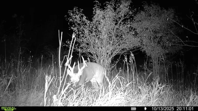 $414,900 | W8192 Pilz Road, Browntown, WI 53522