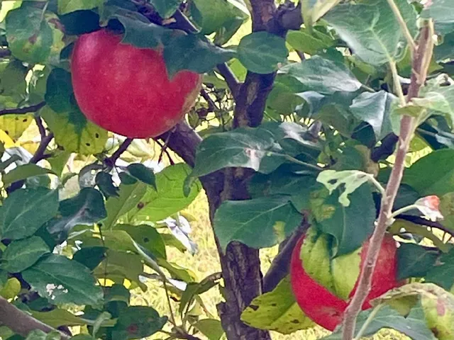 $414,900 | W8192 Pilz Road, Browntown, WI 53522