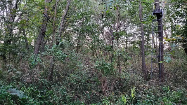 $414,900 | W8192 Pilz Road, Browntown, WI 53522