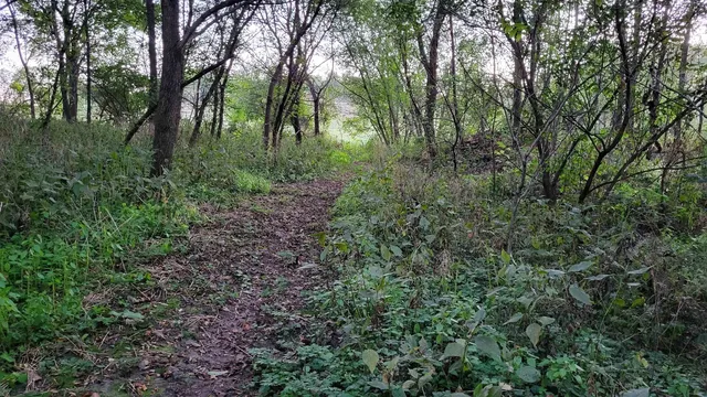 $414,900 | W8192 Pilz Road, Browntown, WI 53522