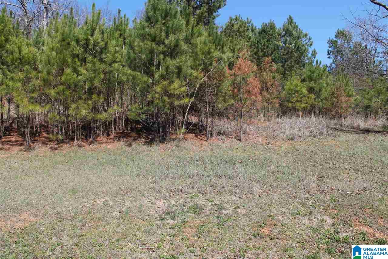 0 Teem Road, Unit 7 Cullman, AL 35057 - Photo 2 of 5