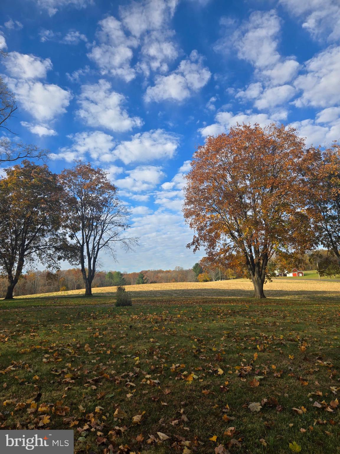 1903 Glen Cove Road Darlington, MD 21034 - Photo 19 of 21 a view of an ocean