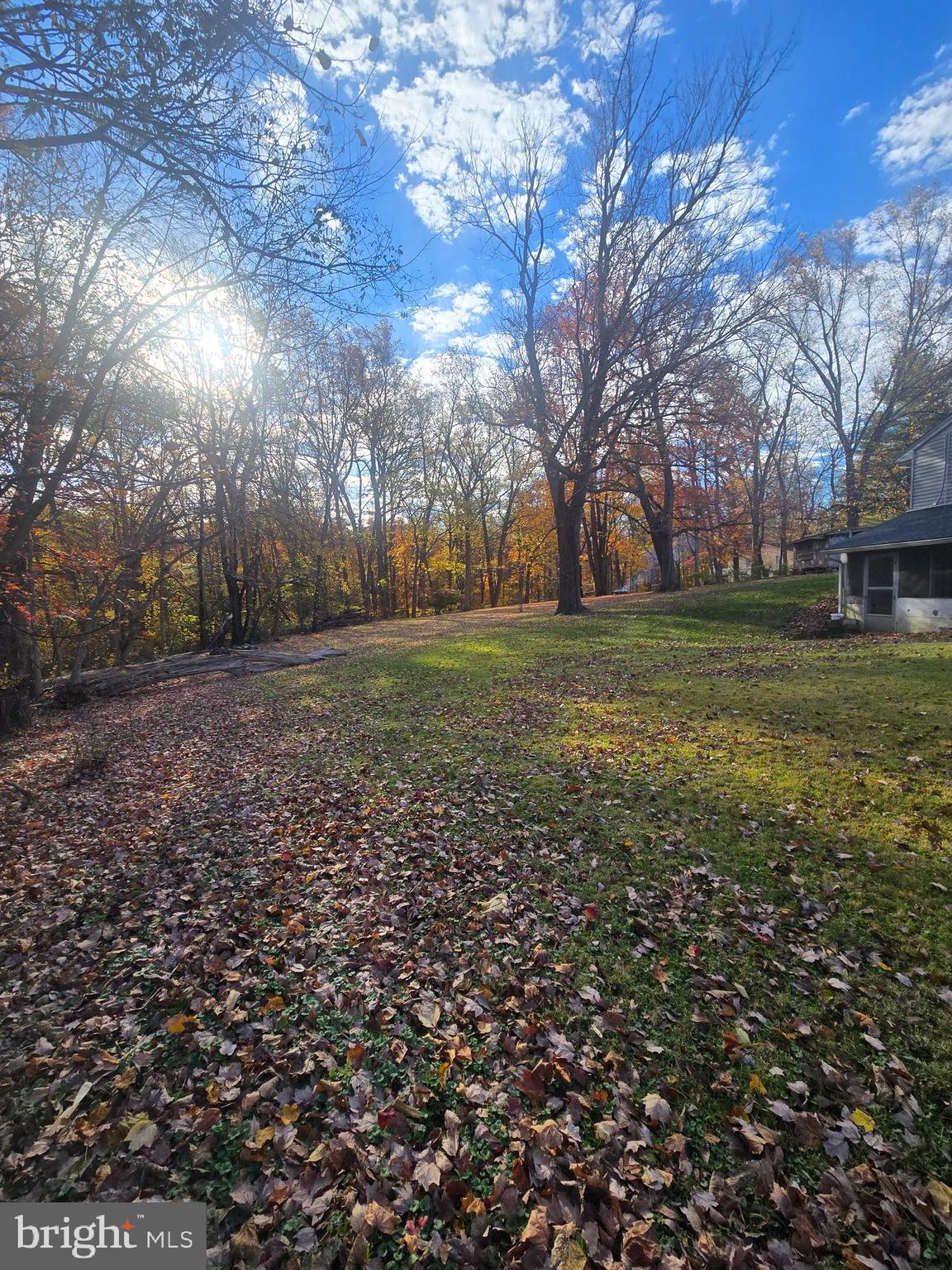 1903 Glen Cove Road Darlington, MD 21034 - Photo 5 of 21 a view of a trees in a yard